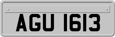 AGU1613