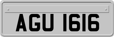 AGU1616