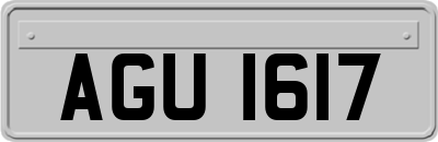 AGU1617