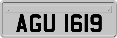 AGU1619