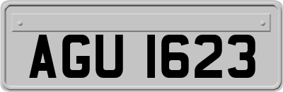 AGU1623