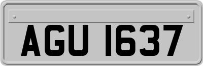 AGU1637