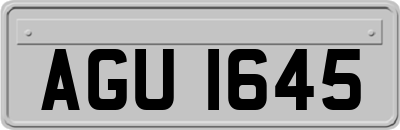 AGU1645