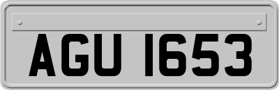 AGU1653