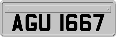 AGU1667