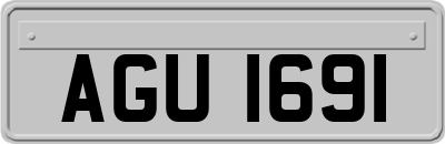 AGU1691