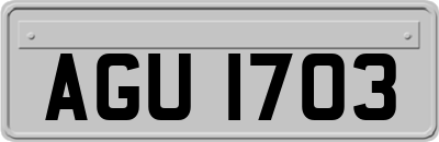 AGU1703
