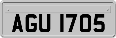 AGU1705