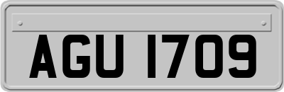 AGU1709