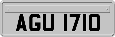 AGU1710