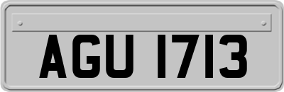 AGU1713