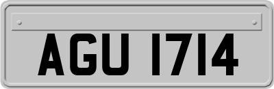 AGU1714