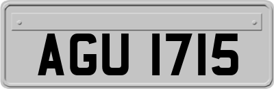 AGU1715