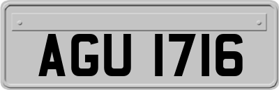 AGU1716