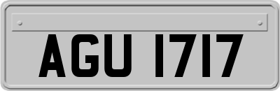 AGU1717