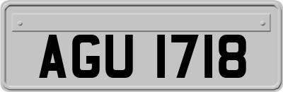 AGU1718