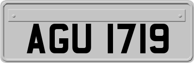 AGU1719