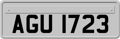 AGU1723