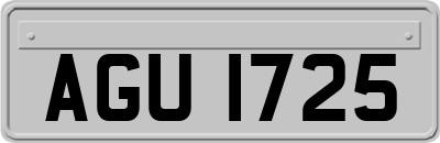 AGU1725