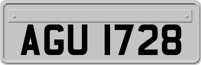 AGU1728