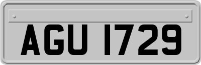 AGU1729
