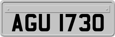 AGU1730