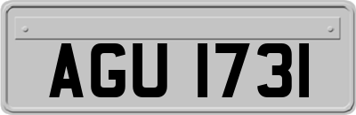 AGU1731