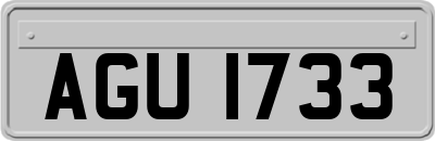 AGU1733