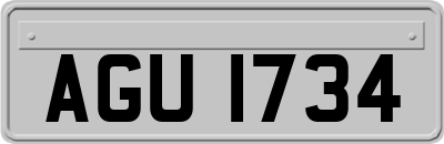 AGU1734