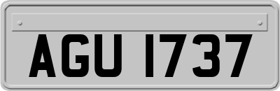AGU1737