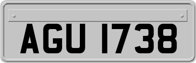 AGU1738