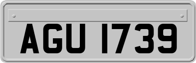 AGU1739