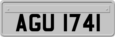 AGU1741