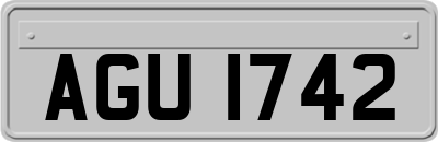 AGU1742