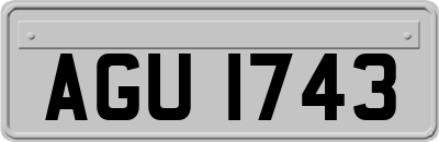 AGU1743