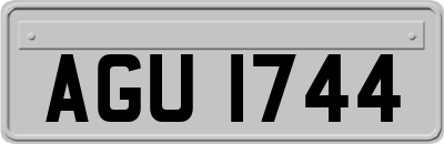 AGU1744