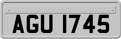 AGU1745