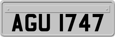 AGU1747