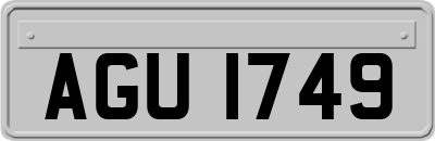 AGU1749