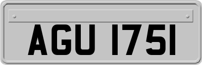 AGU1751