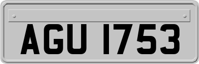AGU1753