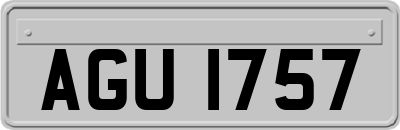 AGU1757