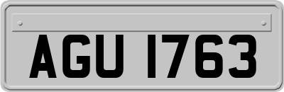 AGU1763