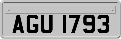 AGU1793