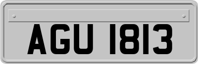 AGU1813