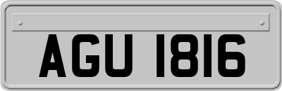 AGU1816