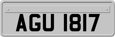 AGU1817