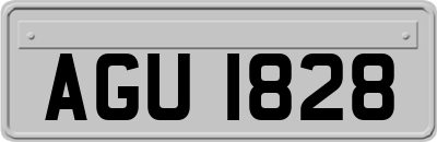 AGU1828