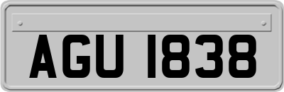 AGU1838