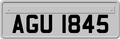 AGU1845
